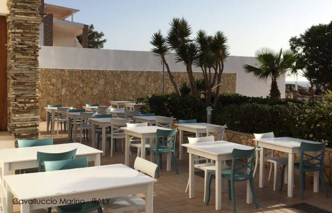 Стул пластиковый XSera-S зеленый 490х550х840 мм Стул пластиковый XSera-S зеленый 490х550х840 мм